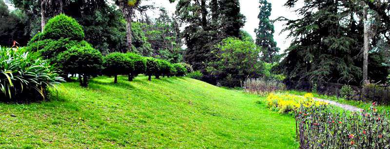 Lloyd S Botanical Garden