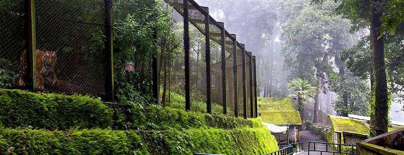 Padmaja Naidu Himalayan Zoological Park